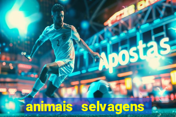 animais selvagens fotos e nomes